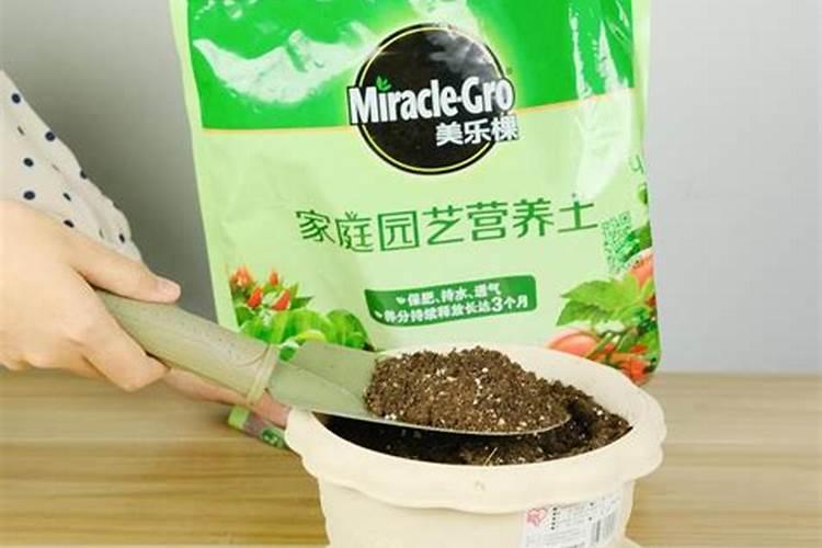 养花用什么肥料好？该怎么样选择？