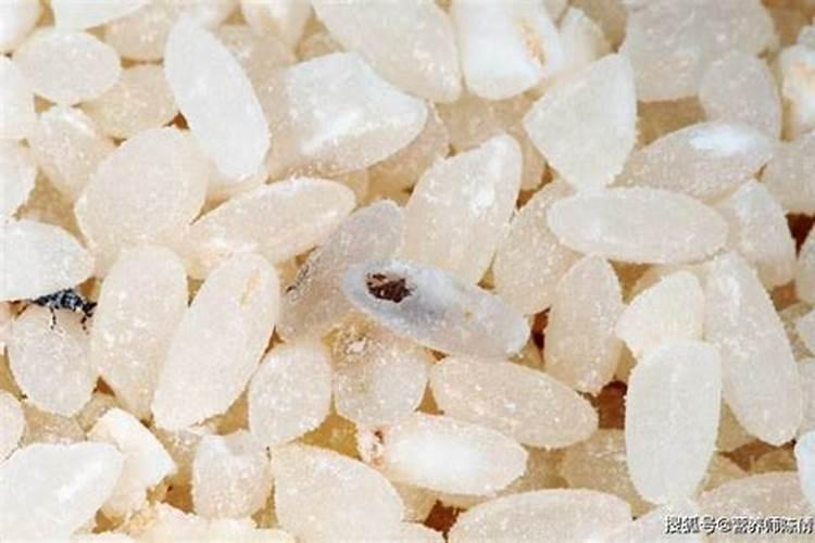 我家有个几斤大米长虫了,扔了怪可惜的,能当花肥吗