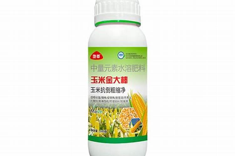 玉米十叶期需要打什么叶面肥