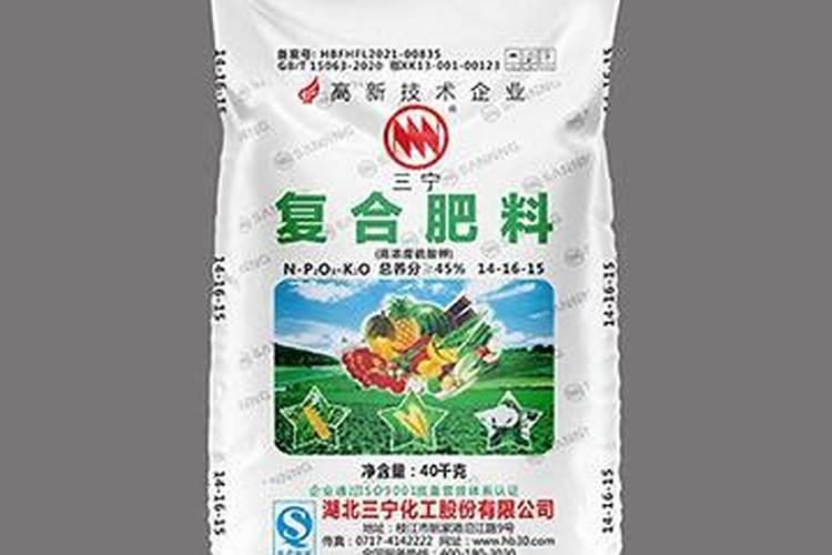 水培植物瓶底放什么好