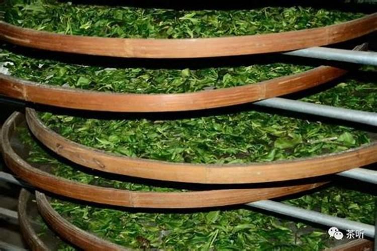 茶叶水可以直接浇花吗？