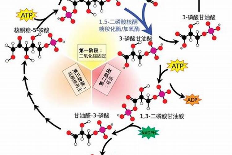 水改旱玉米栽培栽培注意事项