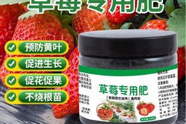 草莓追肥什么肥料？