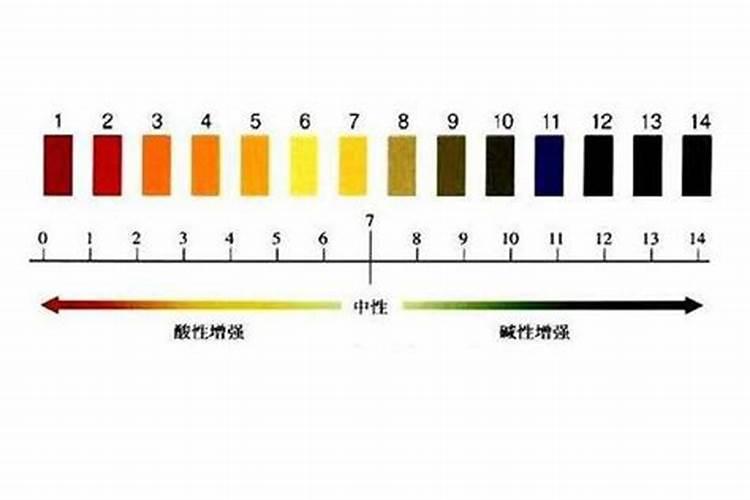 请教大虾、大物吃葡萄么