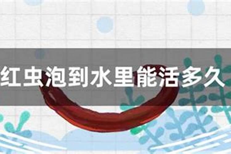 钾肥能溶于水吗