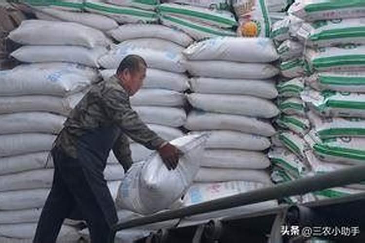 氮肥适合什么农作物 氮肥属于哪种肥料