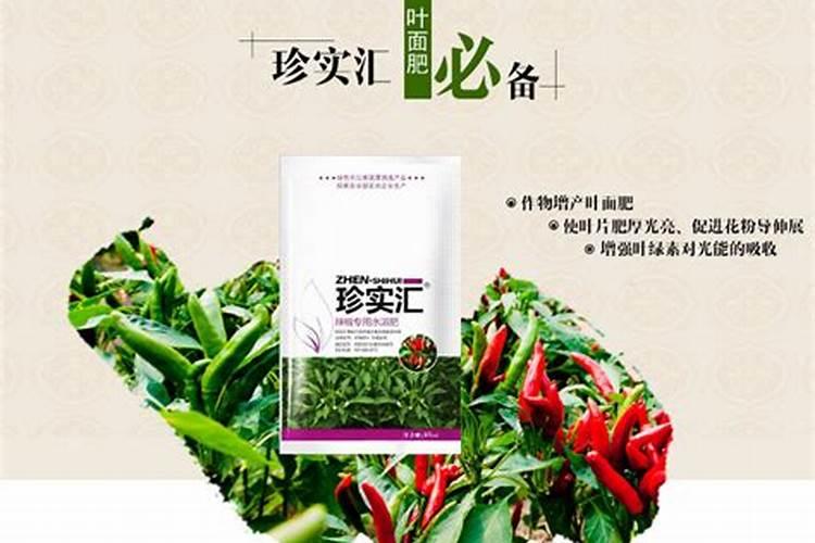 辣椒保花保果专用增产叶面肥料？辣椒结果期用什么肥料好？