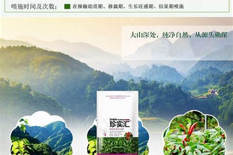 辣椒喷什么叶面肥结果多,多久喷一次