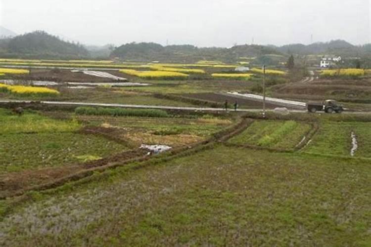 一亩地用多少化肥正常