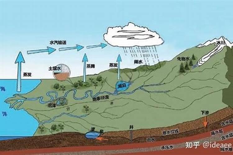 种芹菜用什么肥料