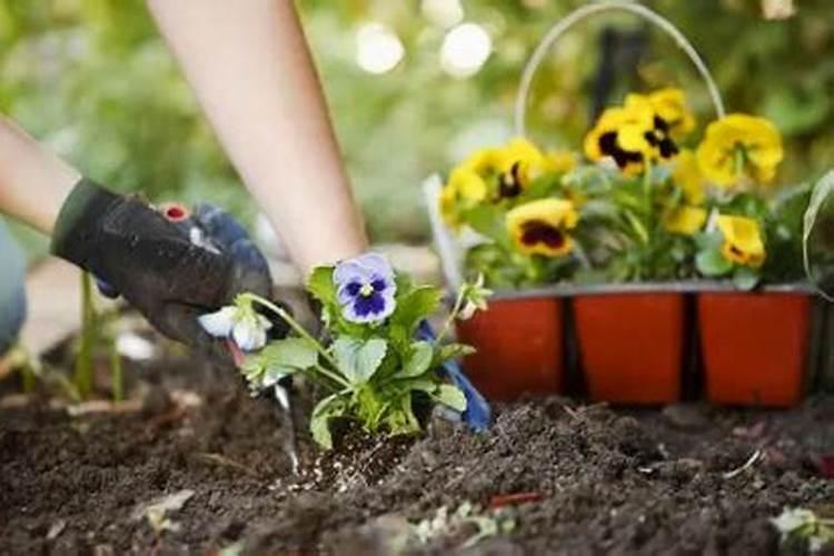 买的花肥特别的贵,自己在家如何制作氮肥和磷肥呢？