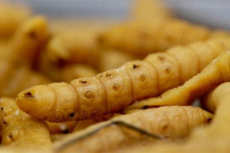 大豆后期打草甘膦几天落叶