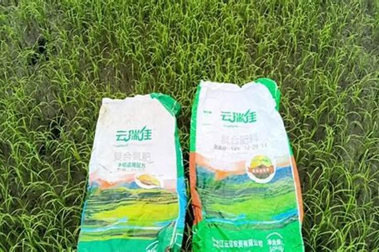 水田改旱田方法