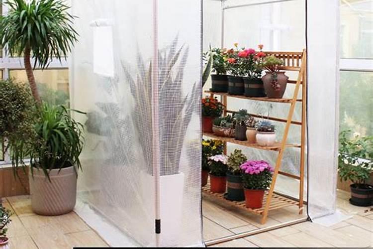 草莓磷肥过量怎么解决