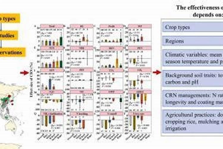 碳酸氢铵怎么施肥 碳酸氢铵的使用注意事项