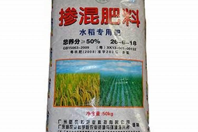 魔芋种植技术及亩产量及利润