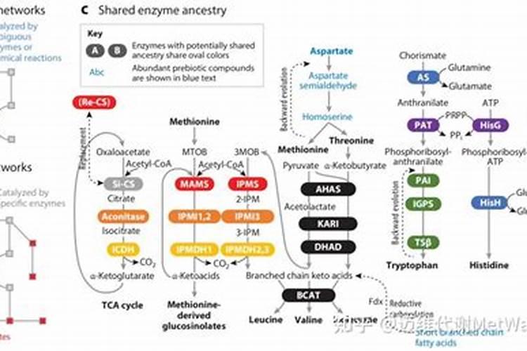 黄腐酸钾的使用方法