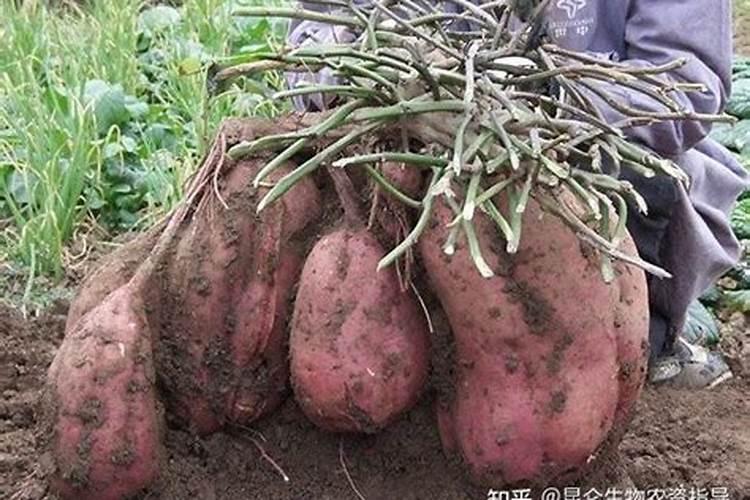 铜防止变色怎么做好