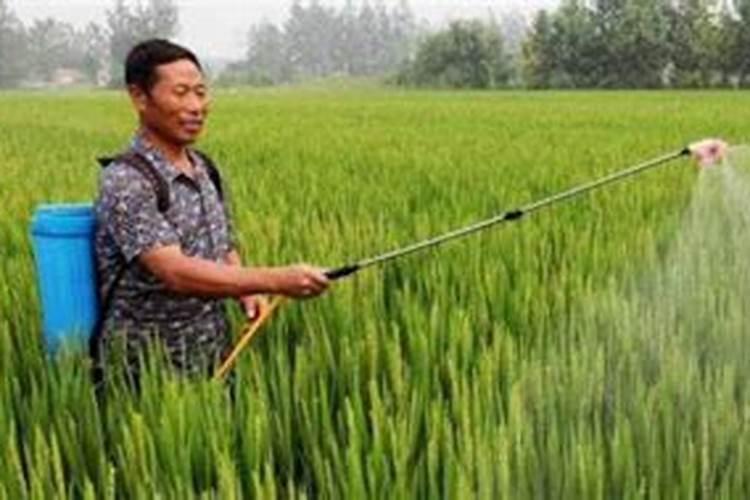 磷钾肥多久施一次 磷钾肥施用间隔是多久？