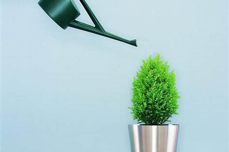 果树为什么施肥后一定要浇水呢