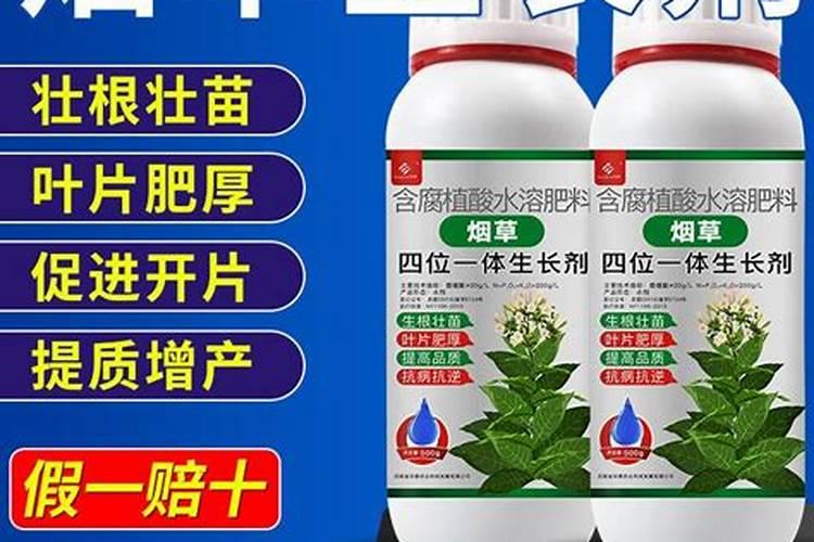 生菜叶片增厚用什么叶面肥
