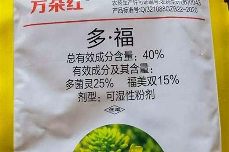 苔藓多久浇一次水 每隔多久给苔藓浇水？