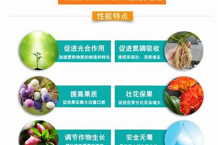 果树补钙的最佳时期