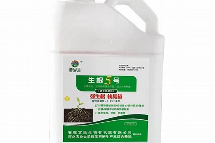 水稻抽穗期水层管理