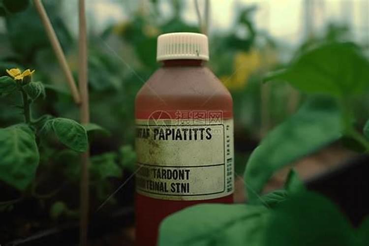 生物有机肥是什么肥料 生物有机肥执行标准有哪些