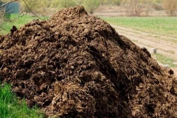 这7种肥料总是买到假的,别再踩坑了!