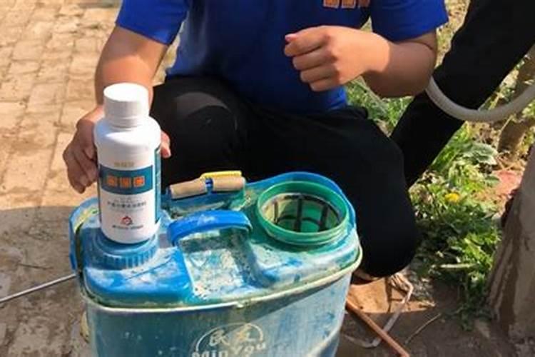 水溶肥十大品牌都有哪些特征!