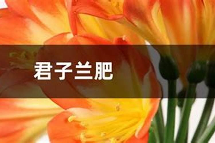 新娘甲美甲图片2017款 新娘美甲的注意事项