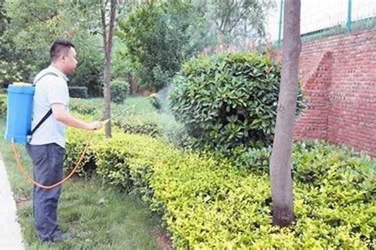 芭田三个19水溶肥一亩地用多少