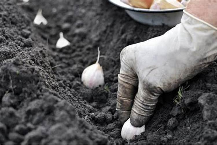 硝酸钠的制备方法