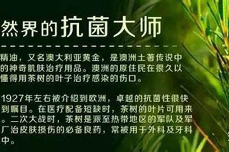 葡萄钾肥给能代水溶肥用一亩地用多少斤合适