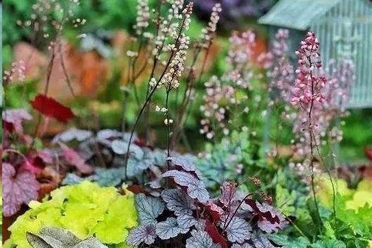 种土豆怎样打秧子高产