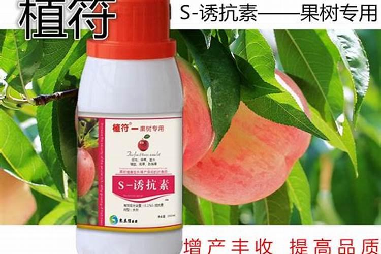 使用丰甜宝颗粒水溶肥有哪些好处？