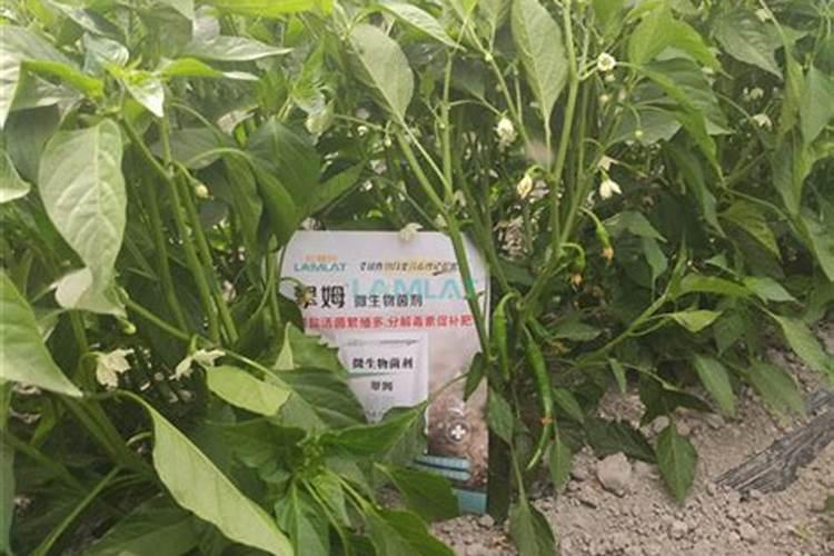 运城奇星喷得利液体肥有高氮和高磷吗？