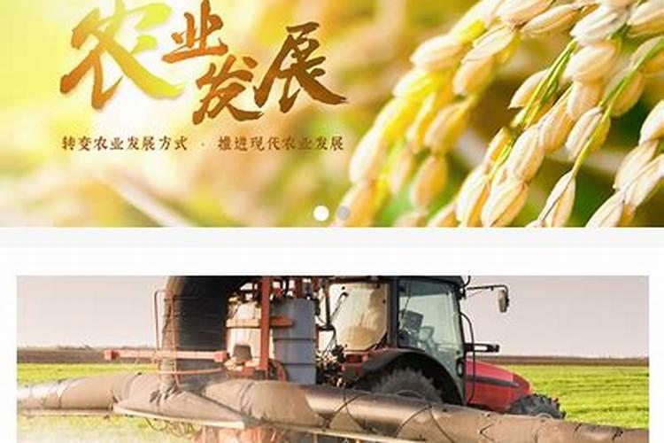 农资哪个网站好