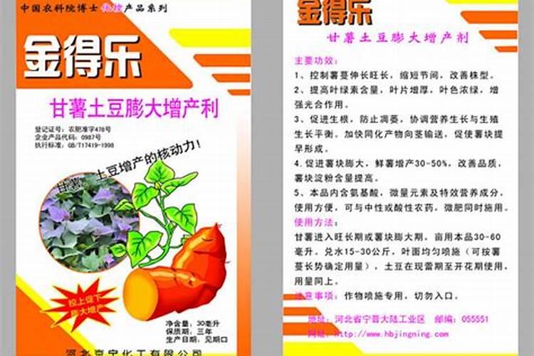 玉米种植时必须要打控旺药吗？不打是否会影响产量？
