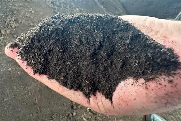 种荞麦肥料比例多少合适