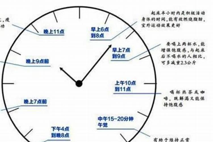 橙子施肥时间和方法