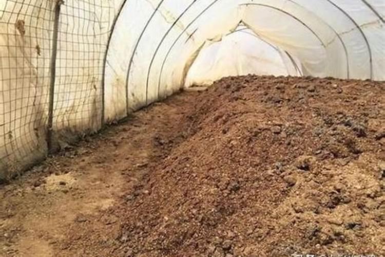 红薯用什么钾肥好