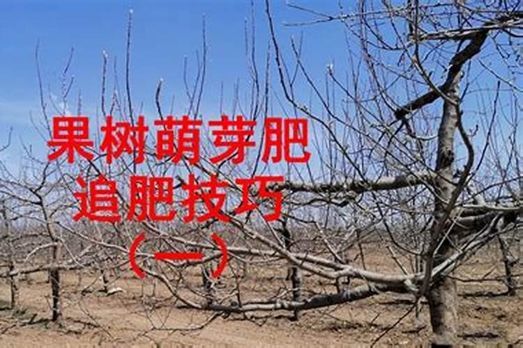 春季桃树施什么肥好