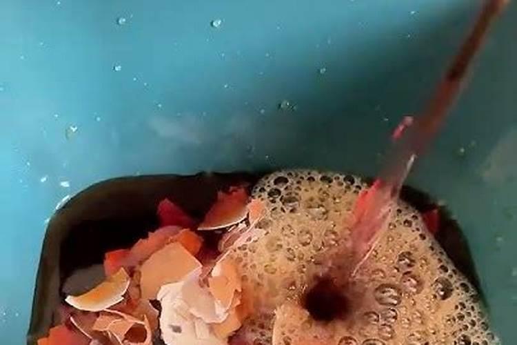 散花气病用什么农药最好