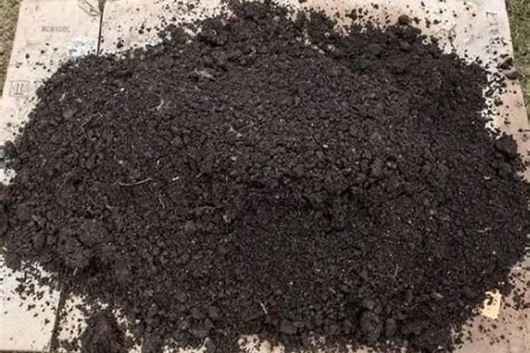 土壤补钙用什么钙肥好？谢谢!急用!