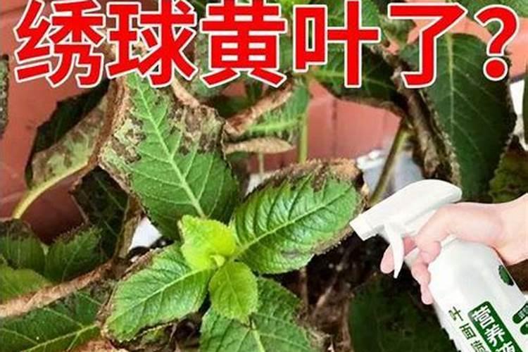 江北新区数字经济产业园属于哪个区