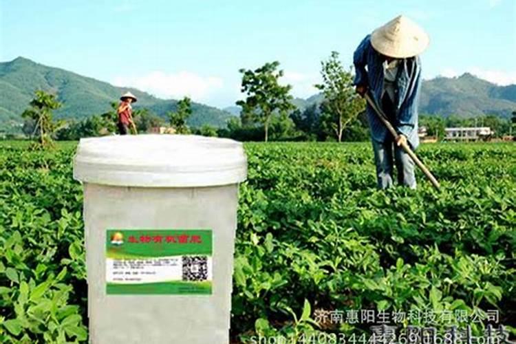 济南嘉吉美盛肥料有限公司怎么样？