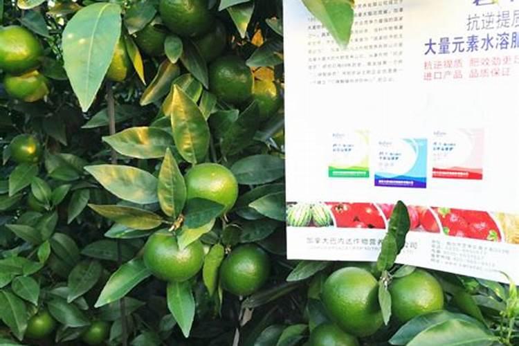 高氮水溶肥有什么效果,和尿素有什么区别