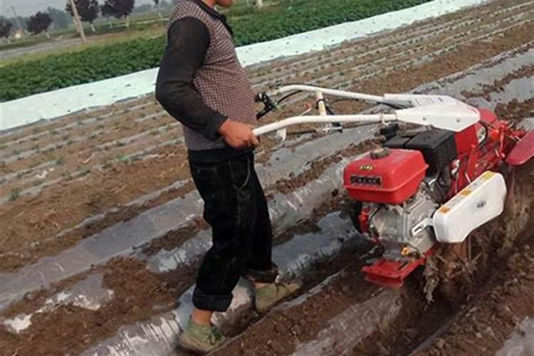 水溶肥的使用方法有哪些,中药材追施叶面肥的效果怎么样？